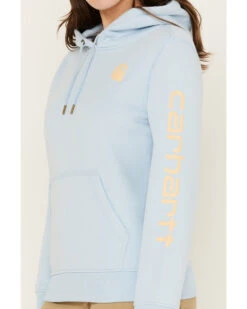 Carhartt Women's Relaxed Fit Midweight Logo Graphic Hoodie -Ariat || Wrangler || FREE PEOPLE Sales Store 2000383961 450 P3